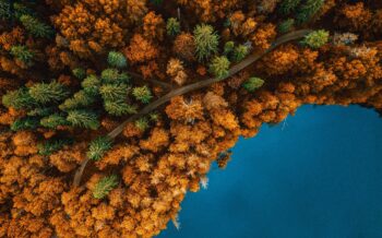 Fotoreisen Lappland im Herbst Fotoreisen Lappland im Herbst