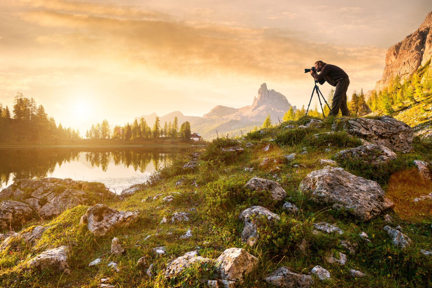 © Gergely Zsolnai/Shutterstock.com