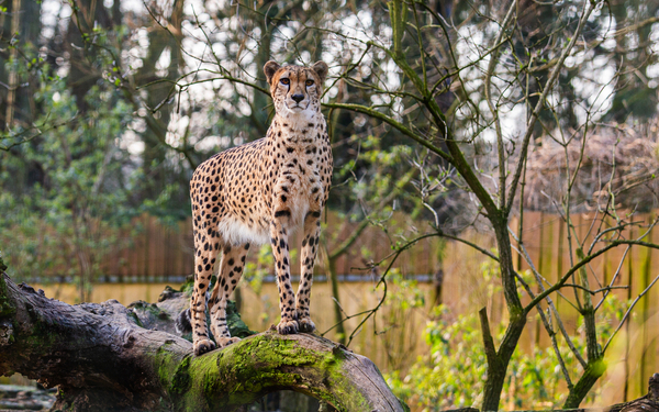 Zoo Rostock